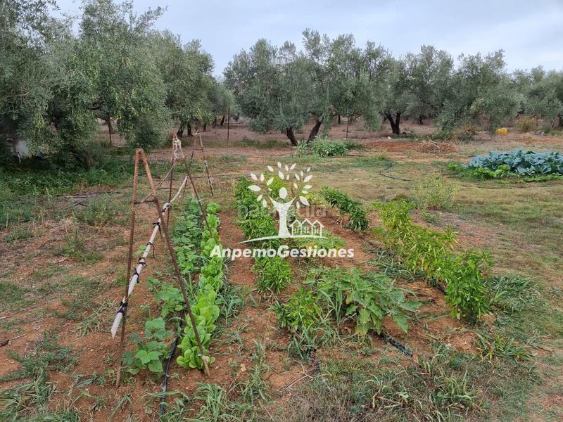 Foto b5c81b33-3673-480f-8521-e032f9fde73f. Propriété dans Puebla de los Infantes (La)