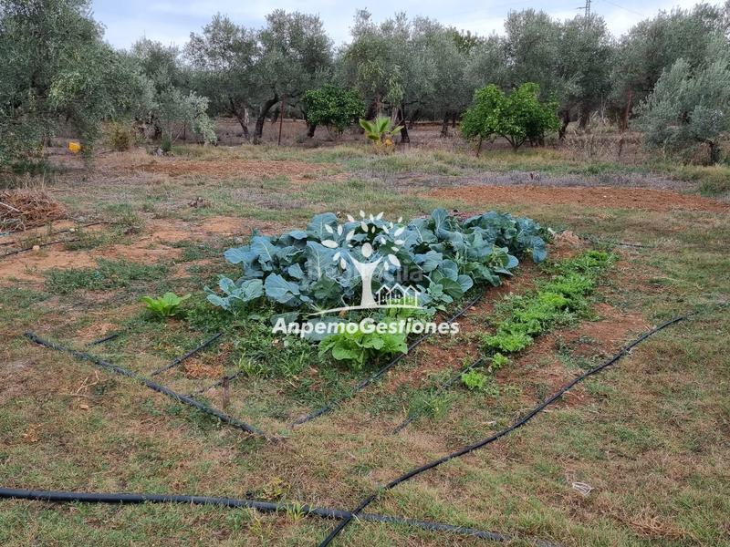 Foto c43bde6e-5e7d-4515-a7bf-e60ba1c519f7. Propriété dans Puebla de los Infantes (La)