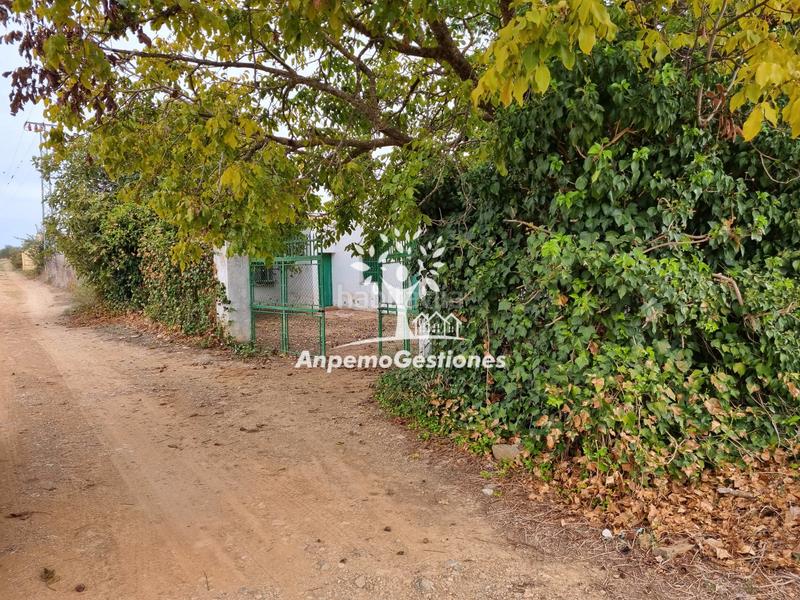 Foto d780ce58-70c2-4978-9ddd-40c91649076f. Propriété dans Puebla de los Infantes (La)