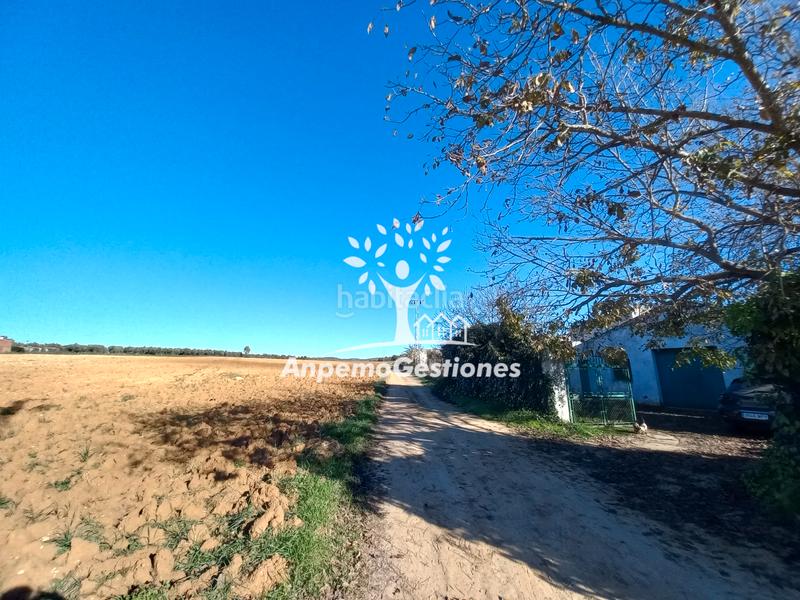 Foto e1c22f4b-eacd-44fb-9011-2f13b3675ec2. Propriété dans Puebla de los Infantes (La)