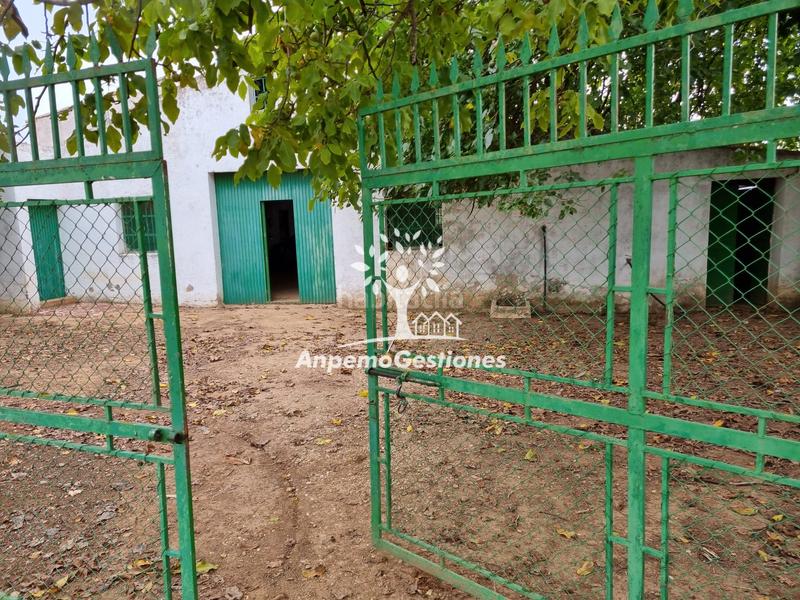 Foto e6495eae-a4b9-46d7-b359-a6adf4b3d754. Propriété dans Puebla de los Infantes (La)