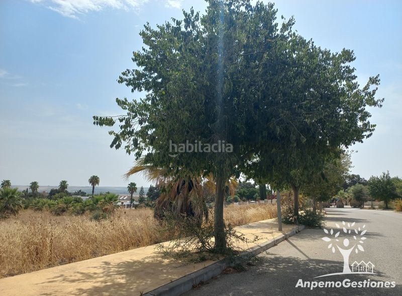 Foto 7c7f9b3d-894c-4215-9297-8d4a8a3c1953. Wohngrundstück in Palma del Río