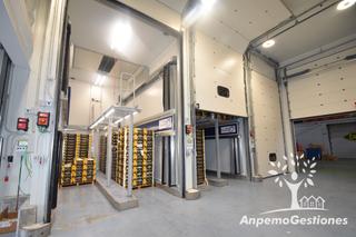 Location Bâtiment à usage industriel à Palma del Río. Nave 8.000m2 cámaras frigoríficas, muelles carga