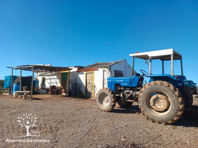 Foto 419be540-6698-4552-b929-0ae62c244c34. Finca rústica finca olivar superintensivo en Lora del Río