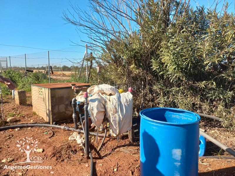 Foto 466821f4-5569-47c2-876a-f0e0af85f43c. Finca rústica finca olivar superintensivo en Lora del Río