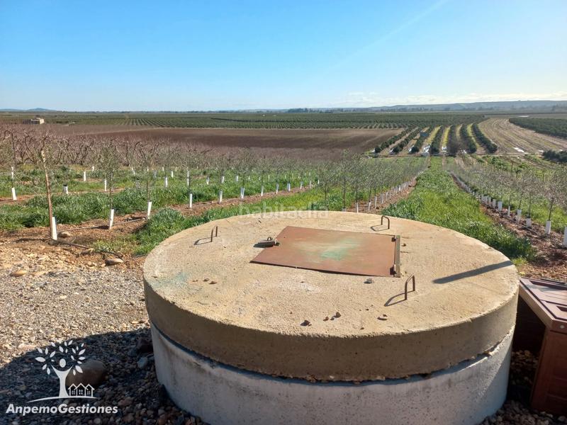 Foto 966b0b29-b7c1-42a1-b2fa-814b8ca14d19. Finca rústica finca olivar superintensivo en Lora del Río