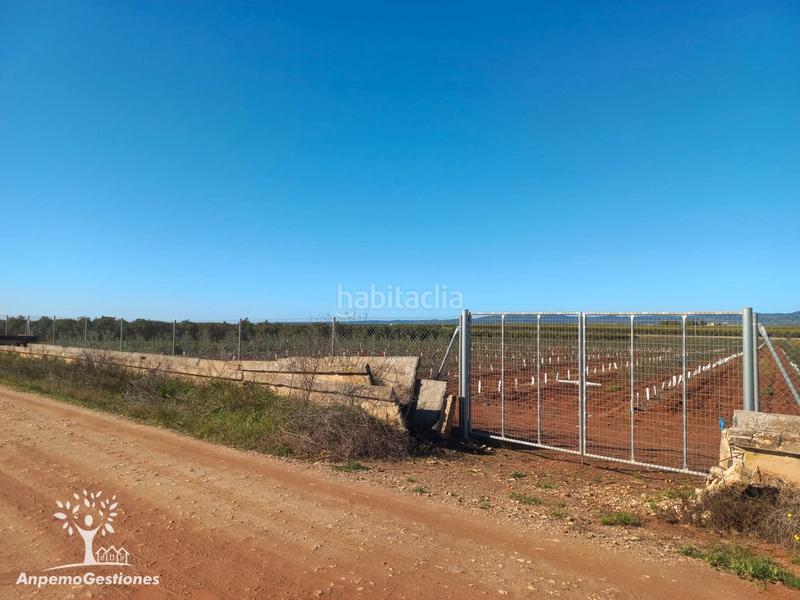 Foto 9825185a-d2e1-47e4-a47f-07ea22a1228f. Finca rústica finca olivar superintensivo en Lora del Río