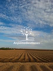 Rural plot in Calle decuma 9a. Finca 24 hectáreas para sembrar olivar superintensivo