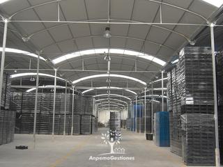 Miete Fabrikhalle in Palma del Río. Alquiler nave industrial 1500m2 cámaras frigorificas