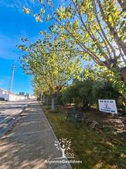 Terreny residencial a Calle constantina 31. Solar 1600m2 la puebla de los infantes