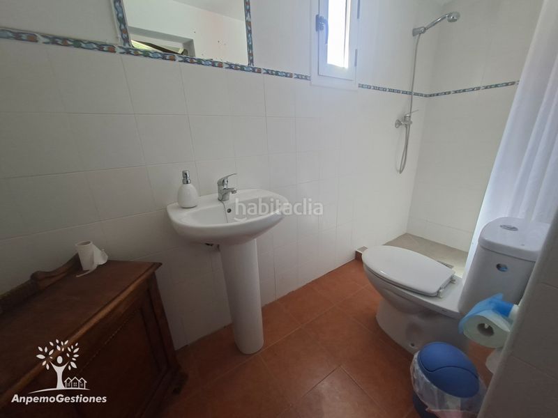 Foto 0e5c994c-851c-41d7-865f-07a1af117b3f. Finca rústica a camino de la ermita 18 a Navas de la Concepción (Las)