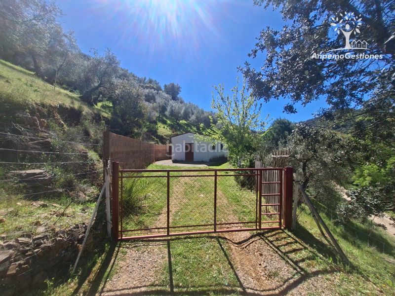 Foto 0f6e7409-b877-46de-ac63-21d32be3bfbf. Finca rústica a camino de la ermita 18 a Navas de la Concepción (Las)
