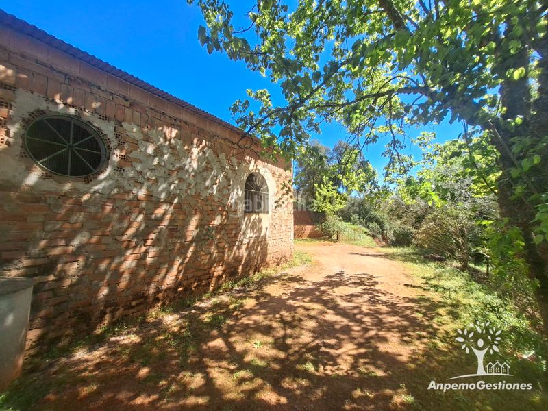 Foto 203061e5-4e08-485c-abd7-7483b4046e7a. Finca rústica a camino de la ermita 18 a Navas de la Concepción (Las)