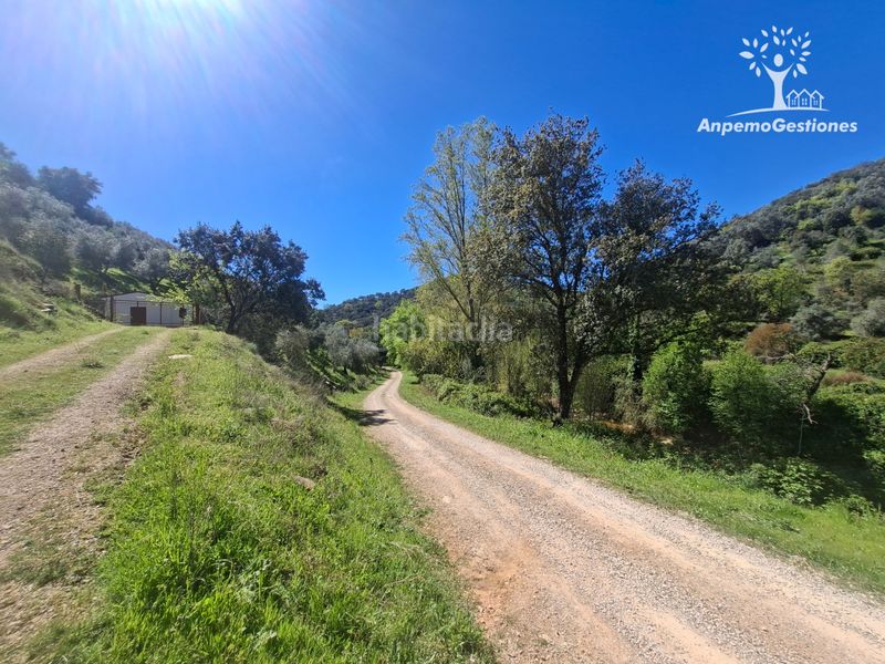 Foto 24666e62-1d1f-4c6e-a264-497953a4f681. Finca rústica a camino de la ermita 18 a Navas de la Concepción (Las)