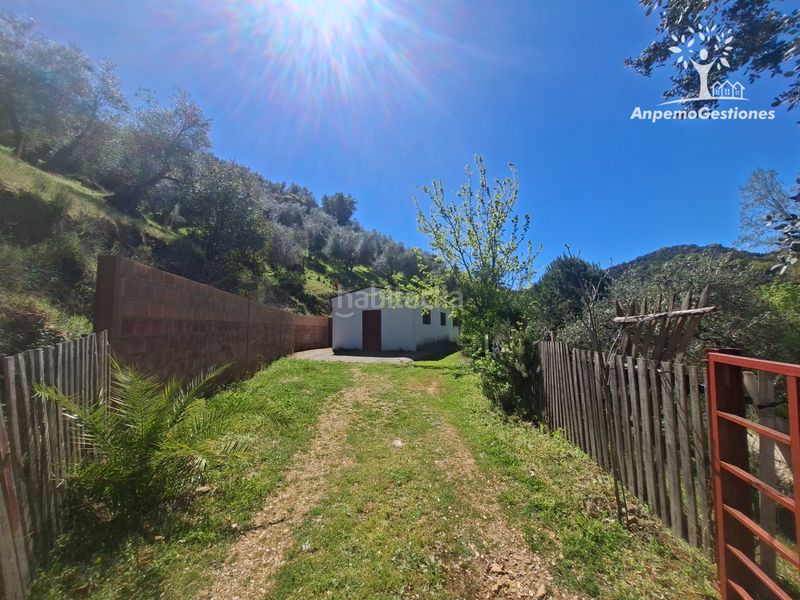 Foto 5745a077-48f1-4d75-b73f-a015ba592702. Finca rústica a camino de la ermita 18 a Navas de la Concepción (Las)