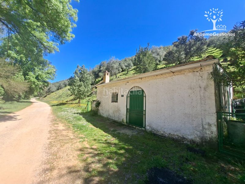 Foto 620eda01-1f06-42eb-9591-e0b59c25b427. Finca rústica a camino de la ermita 18 a Navas de la Concepción (Las)