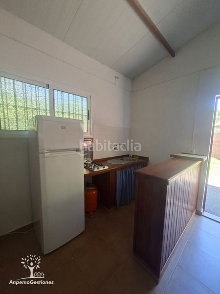 Foto 9b1d1716-dbf2-409e-9b15-605515fa8a5f. Finca rústica a camino de la ermita 18 a Navas de la Concepción (Las)