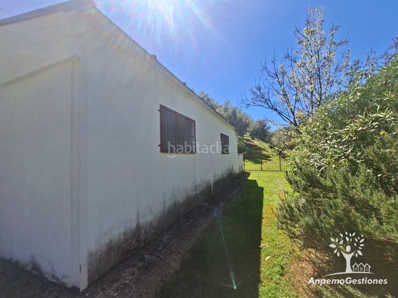 Foto a4d4e5b3-2eff-43df-bbc3-59197a0f0bee. Finca rústica a camino de la ermita 18 a Navas de la Concepción (Las)