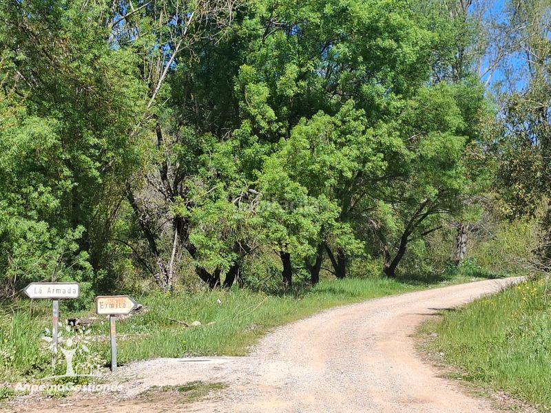 Foto bfa11868-f3ae-4b2c-8cb6-50ef1d9d2753. Finca rústica a camino de la ermita 18 a Navas de la Concepción (Las)
