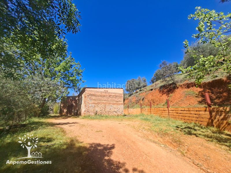 Foto c85715d3-13f0-43cc-9498-4e353a084740. Finca rústica a camino de la ermita 18 a Navas de la Concepción (Las)
