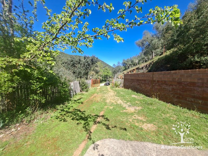 Foto ca3b0b8e-8a03-4c9f-9ee7-96be45430dca. Finca rústica a camino de la ermita 18 a Navas de la Concepción (Las)