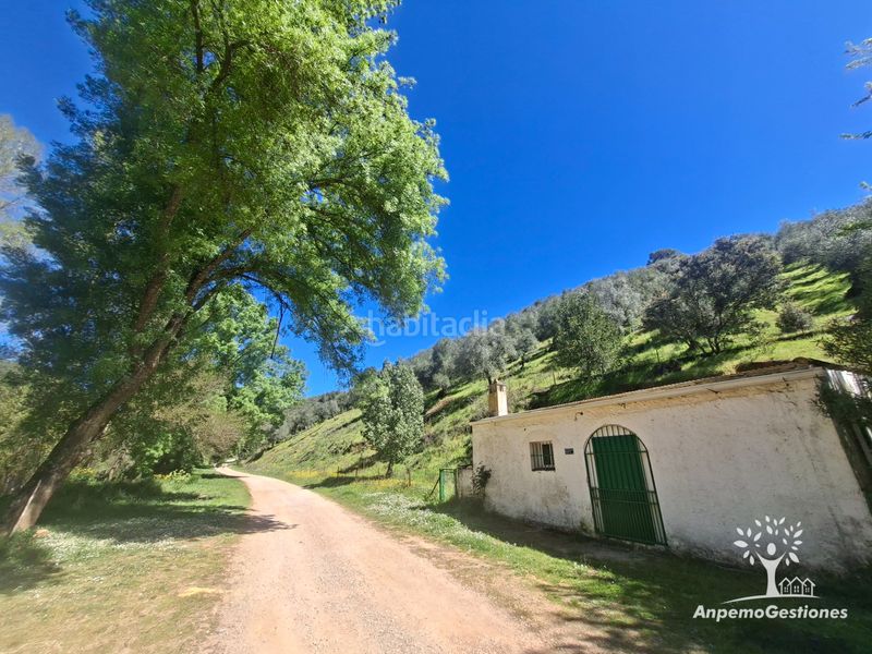 Foto cf2c6222-65a2-4cc7-b34c-5110333e2a29. Finca rústica a camino de la ermita 18 a Navas de la Concepción (Las)