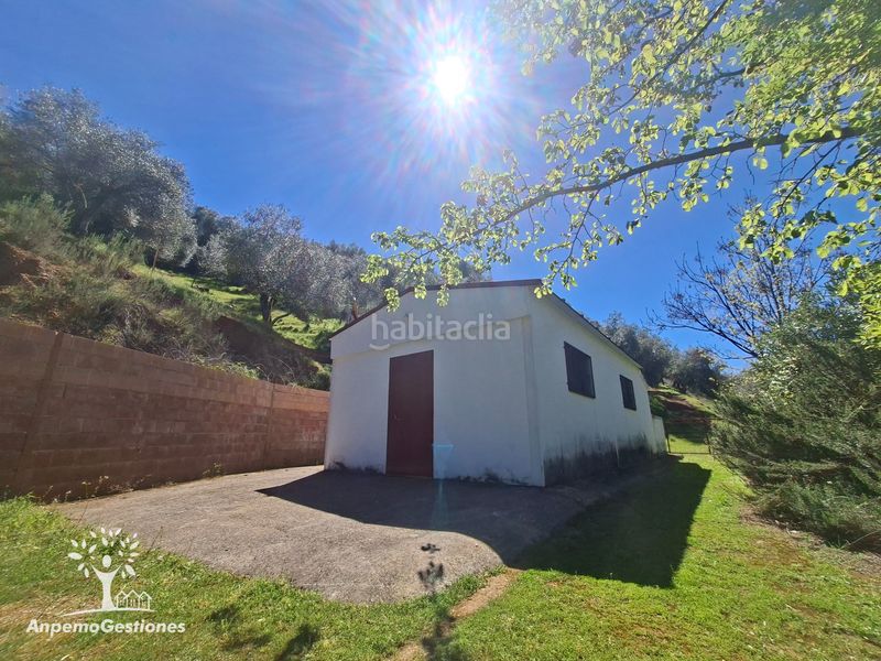 Foto d4c99186-2bc2-4b0f-bfb8-a06d4c13d54b. Finca rústica a camino de la ermita 18 a Navas de la Concepción (Las)