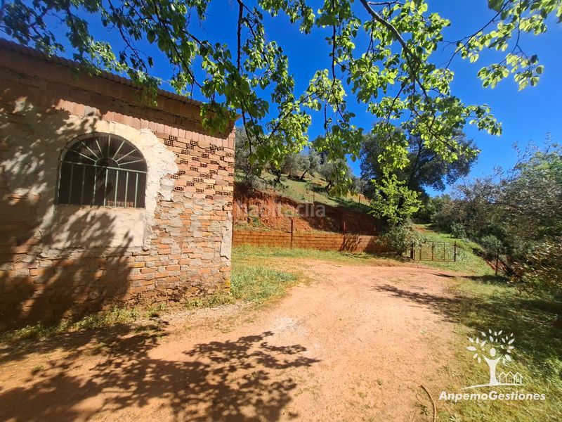 Foto d64b95bd-e177-42d7-9d4a-fd5d50bf0c70. Finca rústica a camino de la ermita 18 a Navas de la Concepción (Las)
