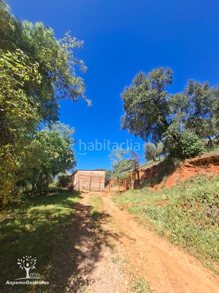 Foto d863dec9-cc9d-4dd4-ad46-ed739c0939dd. Finca rústica a camino de la ermita 18 a Navas de la Concepción (Las)