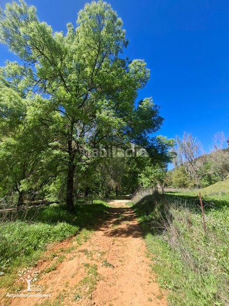 Foto f45ca4e4-03fa-4e9f-acab-b69a14d92728. Finca rústica a camino de la ermita 18 a Navas de la Concepción (Las)