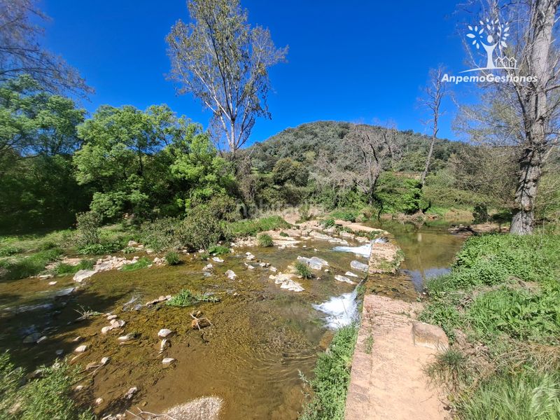 Foto fb93acf1-d7e4-4e80-8ecb-a73d40a3f394. Finca rústica a camino de la ermita 18 a Navas de la Concepción (Las)