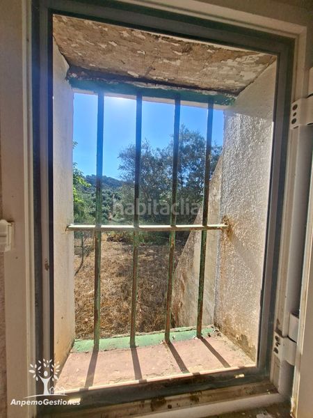 Foto 10a865f1-8770-4dca-84e1-feec2a247d5e. Finca rústica a lugar cementerio 1 a Navas de la Concepción (Las)