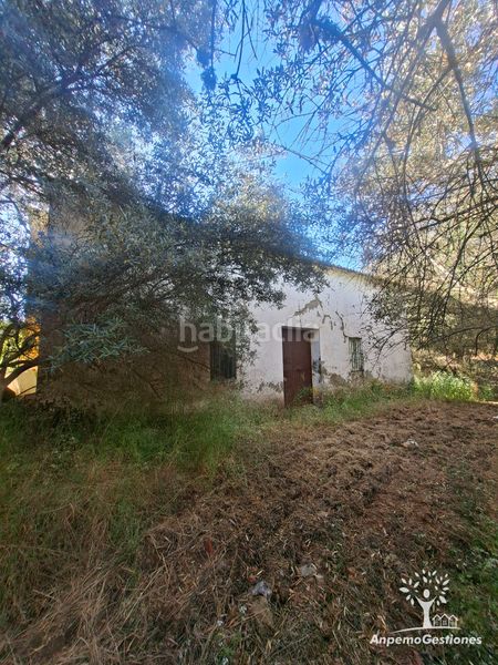 Foto 2fd33f4c-97d1-4081-972d-c4eb3e158fb6. Finca rústica a lugar cementerio 1 a Navas de la Concepción (Las)