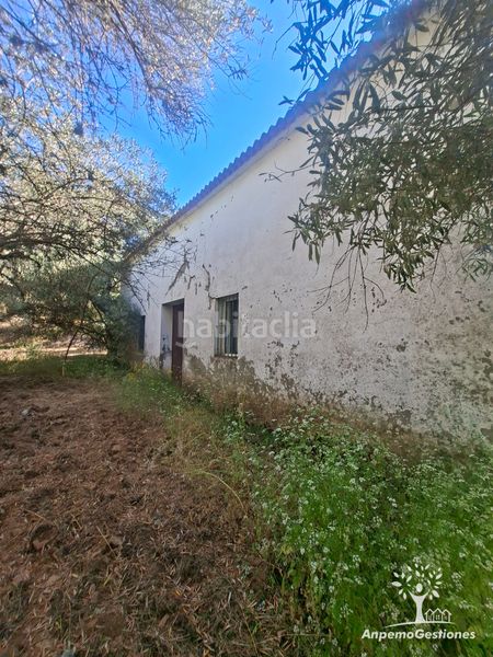 Foto 40f06340-9ff6-4d60-a603-e36cde959463. Finca rústica a lugar cementerio 1 a Navas de la Concepción (Las)