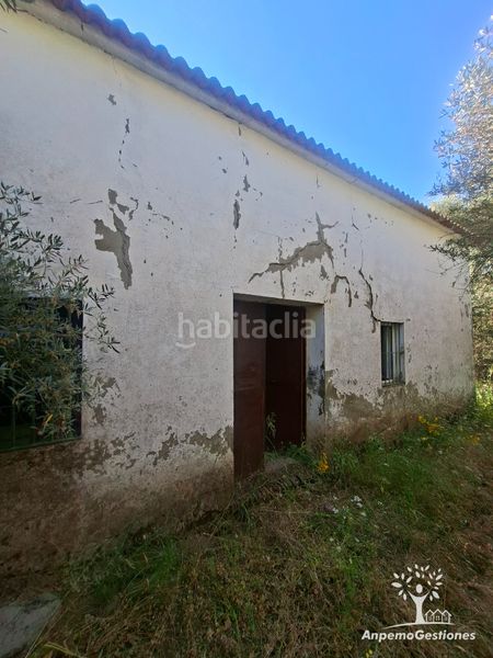 Foto 442cf7d1-7305-472c-b306-a19f30a1963d. Finca rústica a lugar cementerio 1 a Navas de la Concepción (Las)