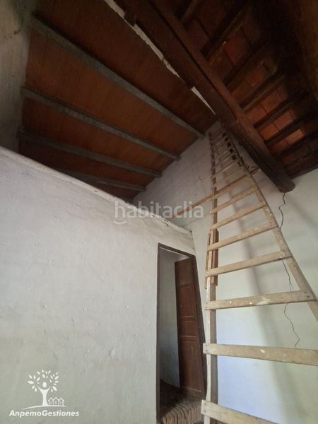 Foto 4666ee05-edca-418e-9964-2d46b7f22a45. Finca rústica a lugar cementerio 1 a Navas de la Concepción (Las)