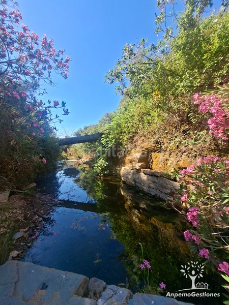 Foto 68b51c11-8579-43e9-982e-0c4d6ec32234. Finca rústica a lugar cementerio 1 a Navas de la Concepción (Las)