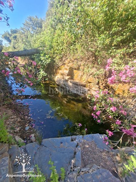 Foto ac88b089-7a78-4798-a95c-b656b0084f33. Finca rústica a lugar cementerio 1 a Navas de la Concepción (Las)