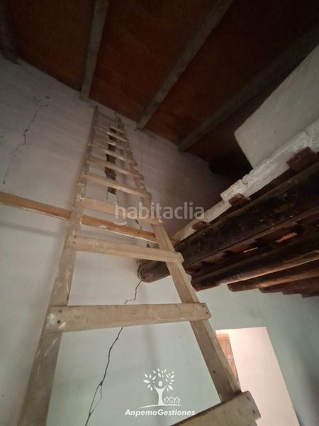 Foto b0b1ba7c-755d-4e9a-bca5-58fa94135146. Finca rústica a lugar cementerio 1 a Navas de la Concepción (Las)