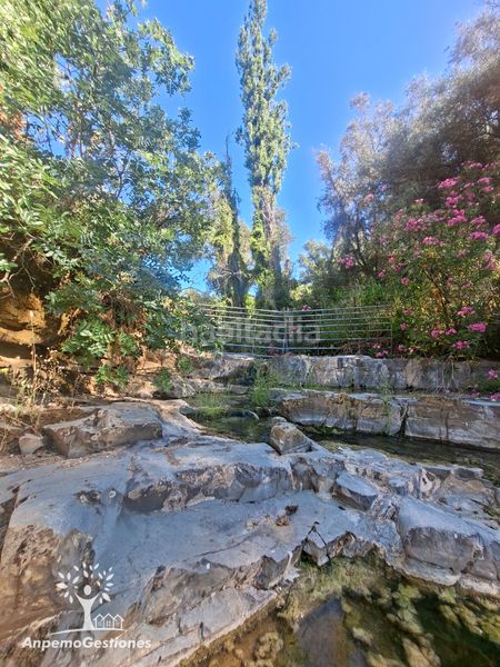 Foto c588a621-6101-40c5-9a72-f823022c80b6. Finca rústica a lugar cementerio 1 a Navas de la Concepción (Las)