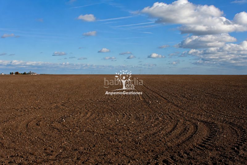 Foto 787fc1a7-3f60-4485-8491-8b2b97a5e974. Finca rústica a El Higuerón Córdoba