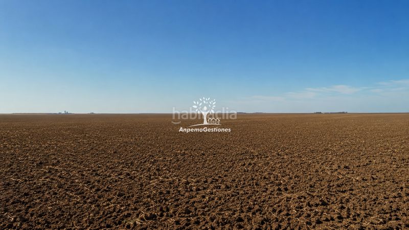 Foto caf77ec1-b132-44f5-a59c-e76b9e19016b. Finca rústica a El Higuerón Córdoba