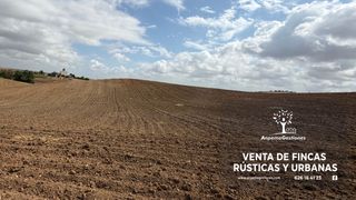 Finca rústica a Calle san sebastián 11. 485has, labor secano, riego, cortijo, embalse anpemogestiones
