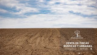 Finca rústica a Carretera ca-4102 128. Finca agrícola labor regadío 200 hectareas