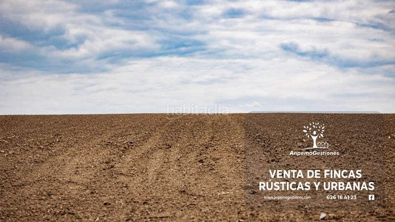 Foto 198ab431-d65a-4b7c-a113-d009bfc5a810. Finca rústica a carretera ca-4102 128 a El Rocío - La Milagrosa Jerez de la Frontera