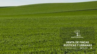 Landgut in N/a. Finca tierra labor secano y riego 424 hectareas