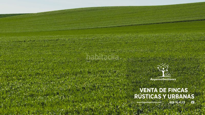 Foto 645dc6d9-7fa0-49c5-9562-588de7e019e1. Finca rústica a n/a a Molares (Los)