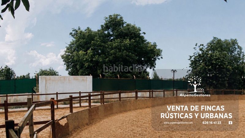 Foto 7e21b6be-d9cf-4000-b0a0-9a8c6da351c5. Finca rústica a n/a a Molares (Los)