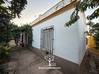 Maison à Diseminado cr remolino 38. Parcela con vivienda el pandero. 1,7 hectareas