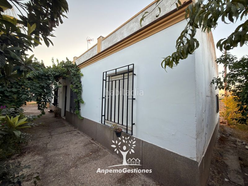Foto 2a846145-a72b-45aa-be73-0c956e8714ca. Wohngrundstück in diseminado cr remolino 38 in Palma del Río